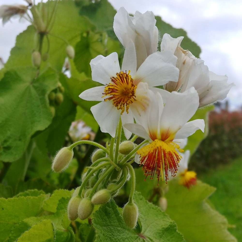 Meet your Posher, Natalia